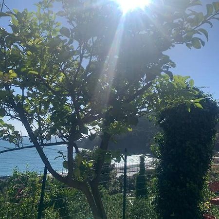 Апартаменты Cozy Beach House With Nice Garden, Basic Feel Бонассола Экстерьер фото