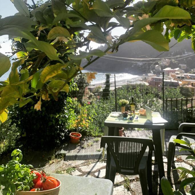 Апартаменты Cozy Beach House With Nice Garden, Basic Feel Бонассола Экстерьер фото